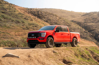 Stage 2R Ford F150 2015+